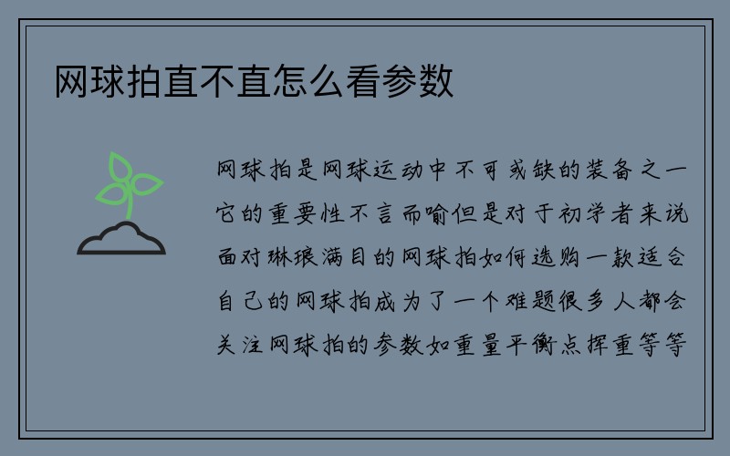 网球拍直不直怎么看参数