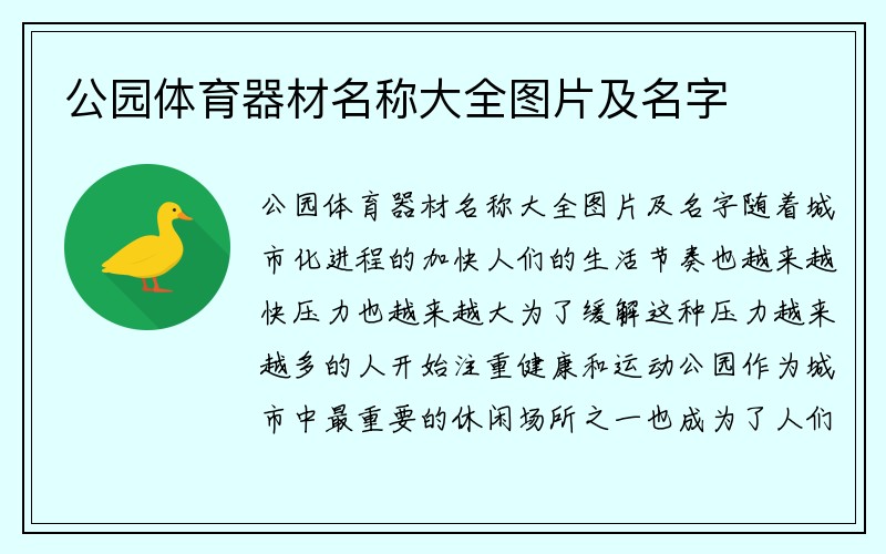 公园体育器材名称大全图片及名字