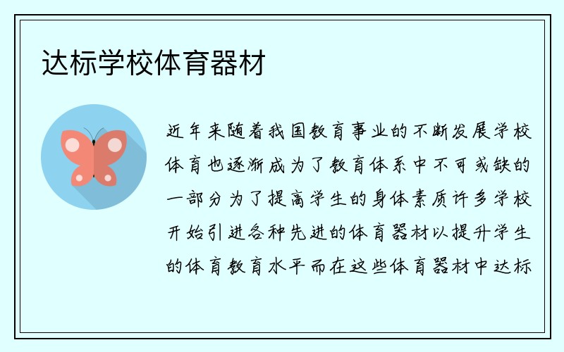 达标学校体育器材