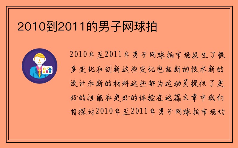 2010到2011的男子网球拍