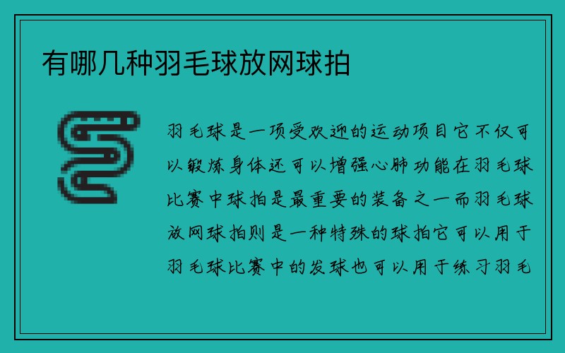 有哪几种羽毛球放网球拍